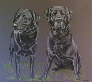 Molly and Jess - Black Labs