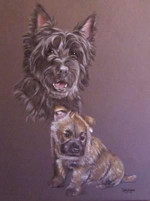 Zack -  Cairn Terrier, as an adult and a pup.