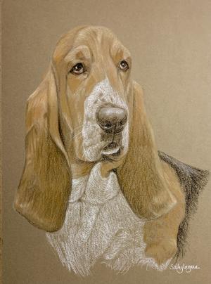 Connor - Rakesfoot Dragon Slayer