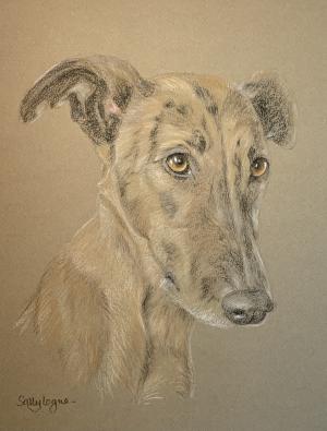 Tag - Lurcher
