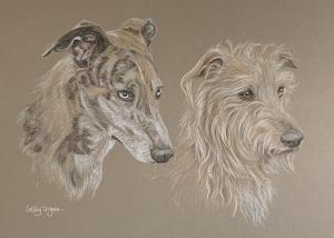 Alfie and Rafa - lurchers