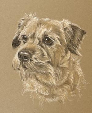 Pet Portraits by Sally Logue - Pet Portraits in Pastel