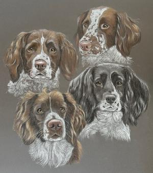 Kobe Cassie Ruby and Tweed