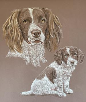 Hugo - as an adult and a pup